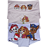 Paw Patrol 3-pak hipster str. 98/104 - lilla/lyserød