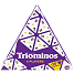 Triominos 6 spillere