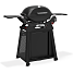 Weber Q2800N+ gasgrill