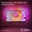 Philips 43" UHD TV 43pus8079 (2024)