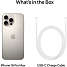 iPhone 16 Pro Max 256GB - Natural Titanium