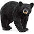 Schleich amerikansk sortbjørn 14869