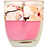 Bolsius duftlys i glas Ø8 x H5 cm - magnolia duft