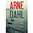 Midtvand - Arne Dahl