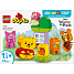 LEGO DUPLO Disney Peter Plys' fødselsdagsfest 10457
