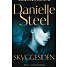 Skyggesiden - Danielle Steel