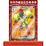 Pokemon Box EX Premium Collection