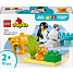 LEGO DUPLO Vilde dyrefamilier: pingviner og løver 10442