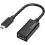 Hama&nbsp;videoadapter USB-C - HDMI Ultra HD 4K