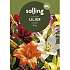 Salling blomsterløg Liljer Asiatic Mix