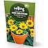 Salling potte med frøblanding - Mini Solsikke Helianthus Pacino