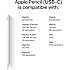 Apple Pencil USB-C