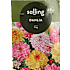 Salling blomsterløg Dahlia Mix
