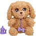 Baby paws labradoodle bamse 25 cm