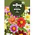 Salling blomsterløg Dahlia - Picolo mix