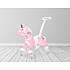 Push pony grace