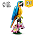 LEGO Creator 3-i-1 Eksotisk papegøje 31136