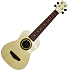 Music ukulele