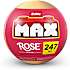 Max Bricks rose