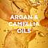 Caring shampoo m. argan- og kameliaolie tørt og glansløst hår