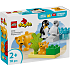 LEGO DUPLO Vilde dyrefamilier: pingviner og løver 10442