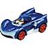 Sega Sonic the Hedgedog racerbane