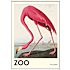 The Zoo Collection Flamingo - 30x40 cm