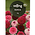 Salling blomsterløg Dahlia Mix