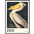 The Zoo Collection Pelican - 70x100 cm