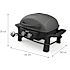 Nexgrill Fortress 2 brændere gasgrill