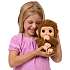 Little Live Pets my baby monkey