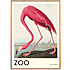 The Zoo Collection Flamingo - 50x70 cm