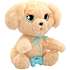 Baby paws labrador bamse 