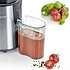 Severin ES 3566 lille juicer 500 ml