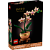 LEGO Botanicals Mini-orkidé 10343