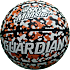 Guardian street basketbold