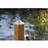 Kokille PYRA 78 messingtop (2STK)
