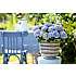 Hortensia, Hydrangea magical, 23 cm potte