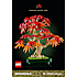 LEGO Botanicals Bonsaitræ japansk løn 10348