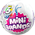 5 Surprises Mini Shopping Brands