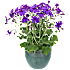 Senetti, 17 cm potte