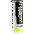 Tecnifibre Team padelbolde 3-pak