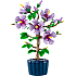 LEGO Botanicals Hibiscus 10372