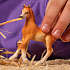 Schleich araberføl 13984