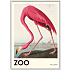 The Zoo Collection Flamingo - 50x70 cm