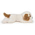 FAO Schwarz Cavachon bamse 55 cm