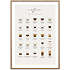 Coffee guide - 50x70 cm