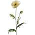 Kunstig blomsterstilk poppy - råhvid