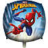 Spiderman folieballon B: 43cm