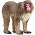 Schleich japansk makakabe 14871